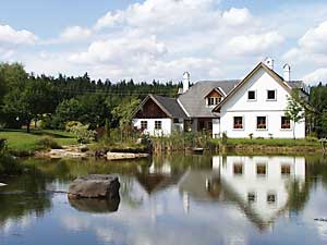 Glaerie der Sommerfotos