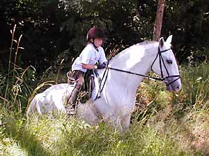 Reiten